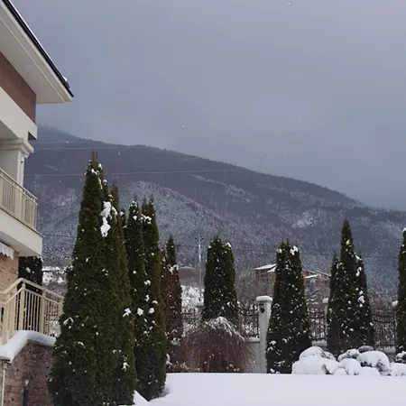 Vikeya 3* Szapareva Banja