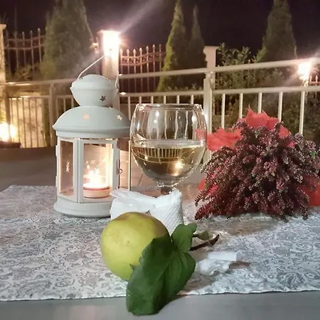 Vikeya 3* Szapareva Banja