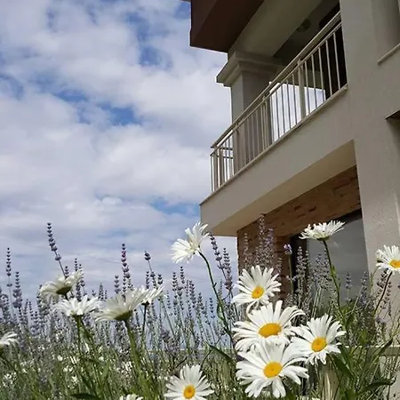 Guest house Vikeya