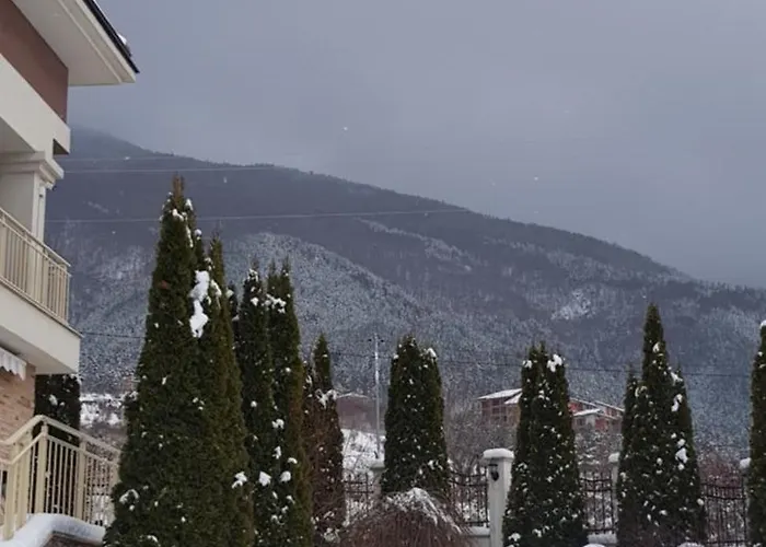 Vikeya 3* Sapareva Banja